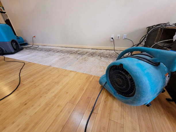 Professional Water Removal technician working in Garfield, WA